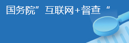 国务院互联网+督查